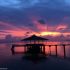 The Sky is More than Pink!