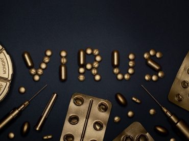 VIRUSES: WHAT YOU NEED TO KNOW