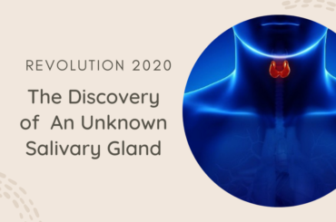 Revolution 2020: The Discovery of  An Unknown Salivary Gland