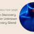 Revolution 2020: The Discovery of  An Unknown Salivary Gland