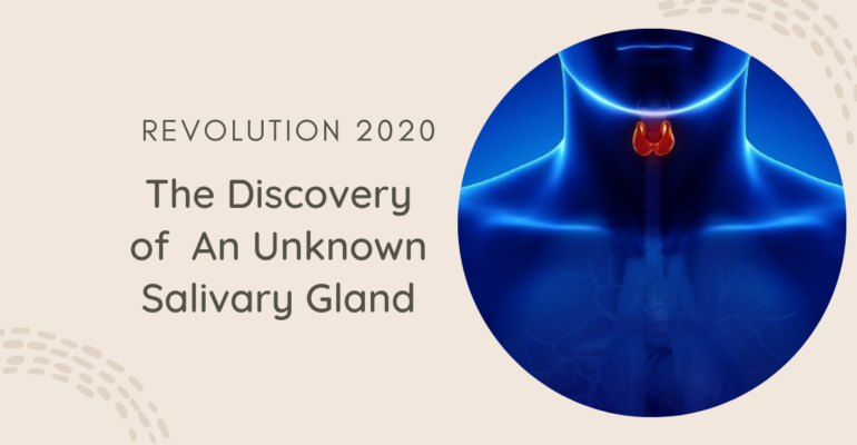 Revolution 2020: The Discovery of  An Unknown Salivary Gland