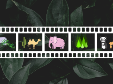 7 Continents & 7 Must-Watch Environmental Films