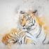 The Rise of The Bengal Tiger!