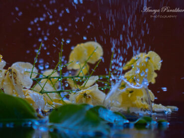 The Dancing Droplets
