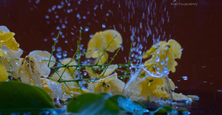 The Dancing Droplets