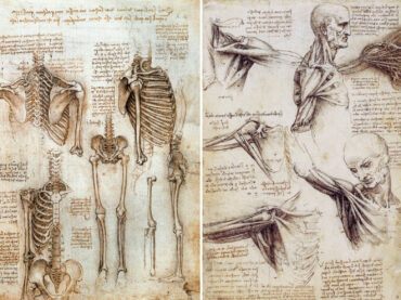 A Brief History of Medical Illustration
