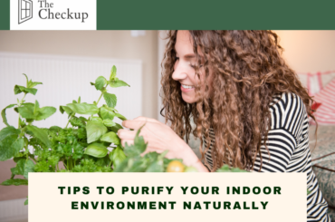 TIPS TO PURIFY YOUR INDOOR ENVIRONMENT NATURALLY