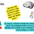 “The Tell-Tale Brain”