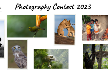 Photo Contest Winners 2023
