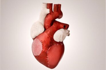 HEALING OF A BROKEN HEART: THE ROLE OF OXYTOCIN IN REGENERATION OF HEART CELLS.